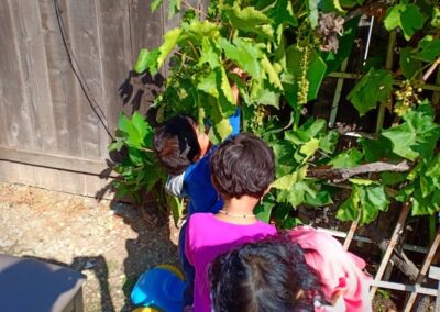 Indoor and Outdoor Plays