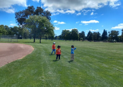 Summer Camp and Picnics