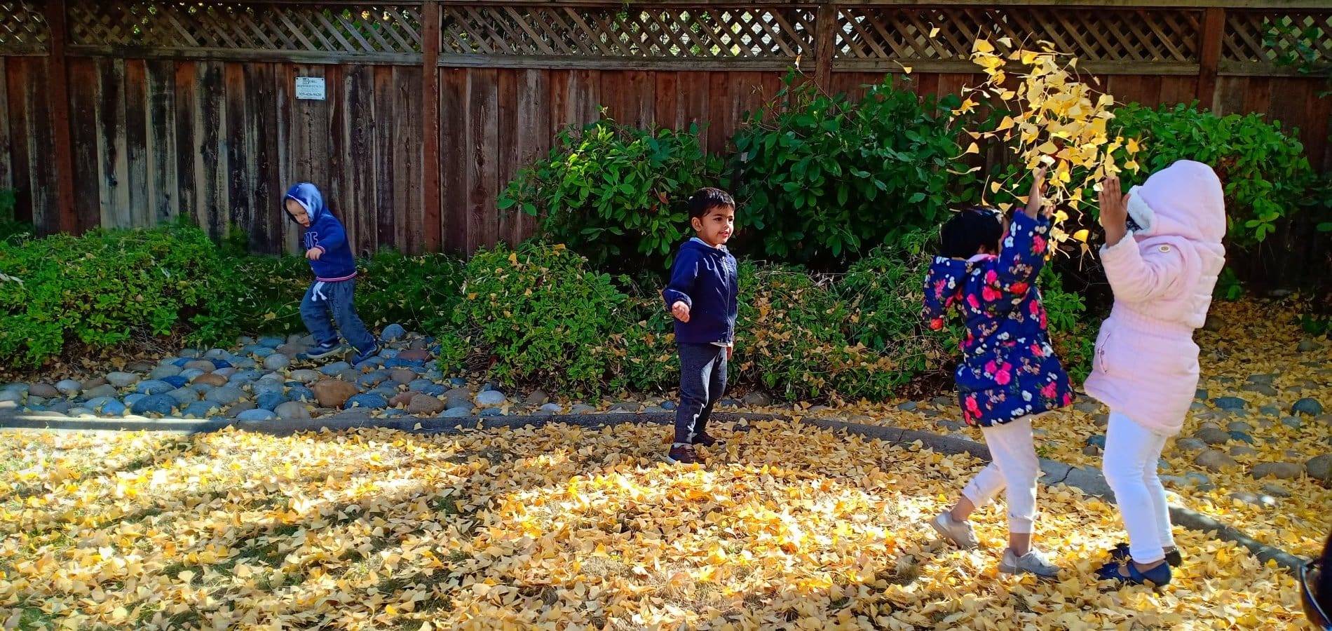 Homeslide Fall Outdoor